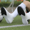 China Factory Wholesale Cheap Soccer Cleats, High Quality New Band Soccer Shoes